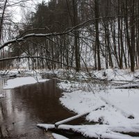 *** :: Владимир Безбородов