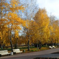Осень в городе :: Александр Подгорный