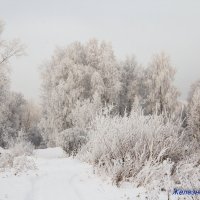 С наступающим Новым Годом, друзья! :: Вадим Басов