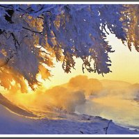 Зимняя красота :: Лидия (naum.lidiya)