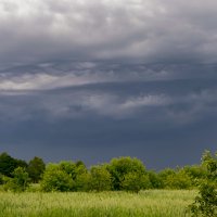 Перед грозой :: Александр Войтович