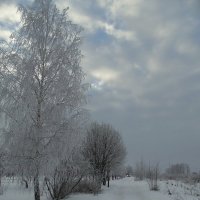 Зимний пейзаж. :: Людмила Ларина