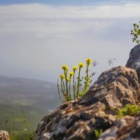 В горах :: Валерий Басыров