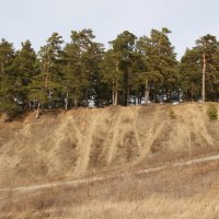 *** :: Олег Афанасьевич Сергеев