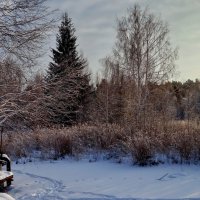 Зимняя загородная прогулка. :: Пётр Сесекин