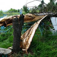 последствия урагана :: леонид логинов