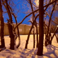 зима, начало :: Евгений Болотов
