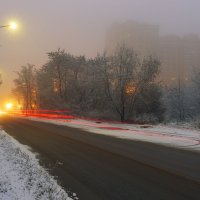 Туман. :: Владимир Гришин