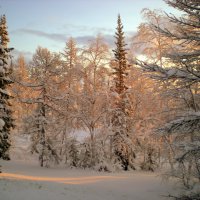 Зима :: ГАЛИНА Баранова
