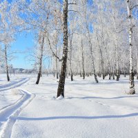 Зима  в  пригороде :: Геннадий Супрун