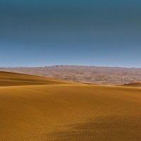 Завораживаающая пустыня :: Gennadiy Karasev