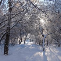 Однажды зимой. :: Elena Sartakova
