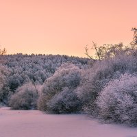 Зимняя сказка :: Екатерина Агаркова