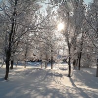 И льётся свет волшебный января.. :: Андрей Заломленков