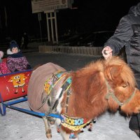 Маленькое путешествие. :: Венера Чуйкова