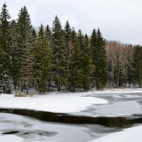 Зимний пейзаж :: Милешкин Владимир Алексеевич 