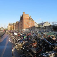 Переполненная велосипедная парковка в Амстердаме :: Natalia Harries