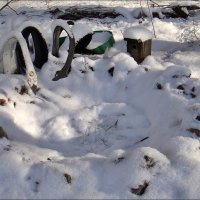 Лебеди у замёрзшего пруда :: Нина Корешкова