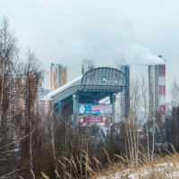 "Снежком" - на лыжах круглый год! :: Владимир Безбородов