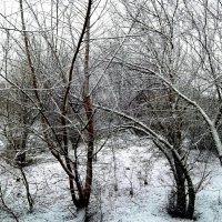 Зима :: Татьяна Королёва