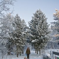 За Святой водой. :: Андрей Синицын