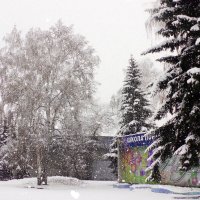 Зимний  парк :: раиса Орловская