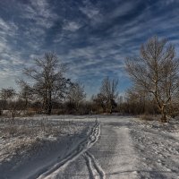 Серебро, огни и блестки,- Целый мир из серебра! В жемчугах горят березки, Черно-голые вчера. :: Павел Тодоров