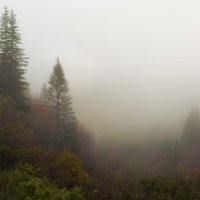 Осенний туман :: Владимир Колесников