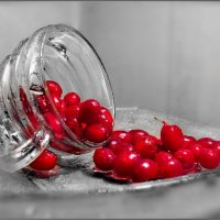 А плод его по форме будет разным,  но алый цвет напомнит кровь Христа... :: Людмила Богданова (Скачко)
