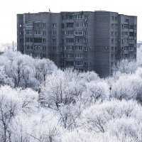 Bид из окна. :: Сергей Изотов