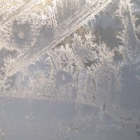 на моём окне мороз рисует мне картины :: Елена Шаламова