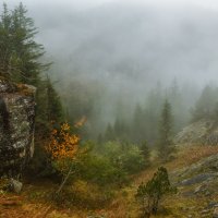Осень в Альпах :: Владимир Колесников