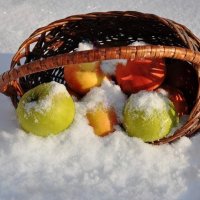 *Яблоки на снегу-2* :: Вячеслав 
