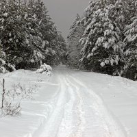 зимняя дорога :: оксана 