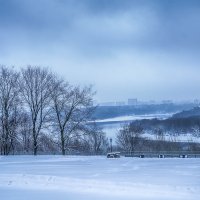 Москва. Коломенское. Январь. :: Игорь Герман