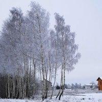 Деревенские мотивы :: Маргарита Батырева