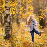 Золотая осень в лесу :: Елена Рябчевская