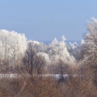 зима :: владимир 