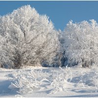 В царстве деда мороза. :: Николай 