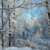 Зима :: Елена Подоляк