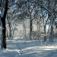 Зима :: Елена Подоляк