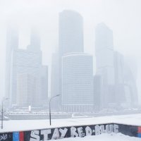 Снежок. :: Саша Бабаев