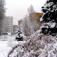 Зима вокруг дома моего. :: Владимир Драгунский