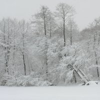 31.01.2018г. :: Виталий Виницкий