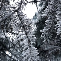 Зима :: Анастасия Насибян 