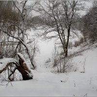 Зимний день на Лучесе. :: Роланд Дубровский