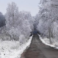 Дорога в неизвестность :: Маргарита Батырева