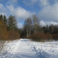 Зимний пейзаж. :: ТАТЬЯНА (tatik)