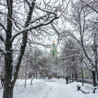 После снегопада. :: Владимир Безбородов