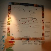 Карта Шотландских виски :: Olga 